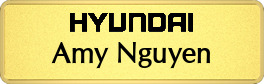 Metalfrost Hyundai Namebars Metalfrost Hyundai Namebars