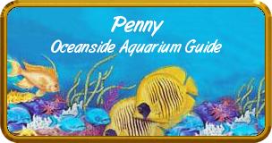 Colordome Aquarium Namebadges
