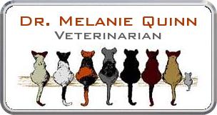 Colordome Veterinary Namebadges