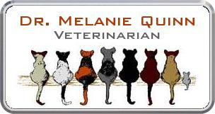 Colordome Veterinary Namebadges Colordome Veterinary Namebadges