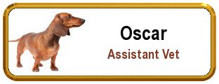 Colordome Veterinary Nametags Colordome Veterinary Nametags