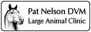 Engraved Veterinary Name Tags Engraved Veterinary Name Tags