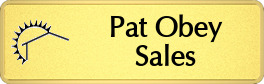 Metalfrost Keller Williams Namebars Metalfrost Keller Williams Namebars