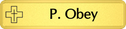 Metalfrost Healthcare Namebars Metalfrost Healthcare Namebars