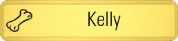 Metalfrost Veterinary Namebars Metalfrost Veterinary Namebars