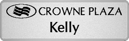 Metalfrost Crowne-Plaza Namepins